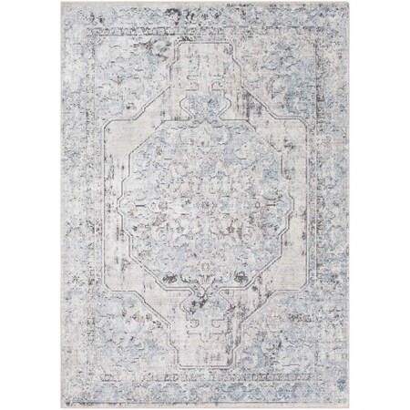 Surya Wonder - 2' X 3' Area Rug WAM2302-23